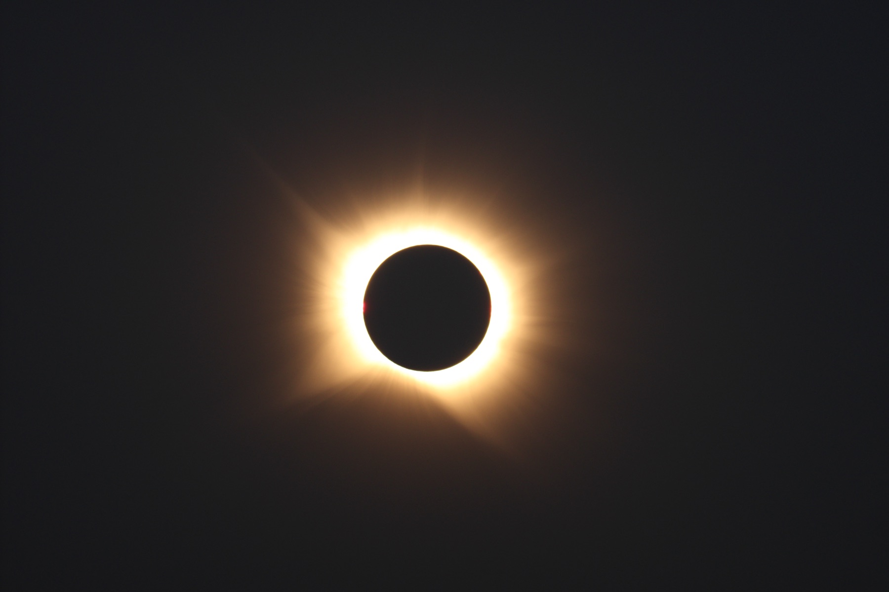 Totale Sonnenfinsternis: die schwarze Mondscheibe ist von der hell leuchtenden Korona mit feinen Strahlen umgeben, unten eine rötliche Protuberanz